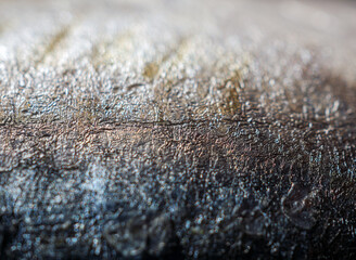 Close-up of mackerels fish skin and skin mackerels details