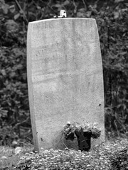 Tombstone in a cemetery