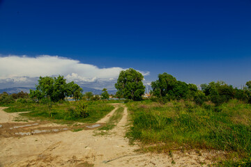 Fototapeta premium road in the mountains