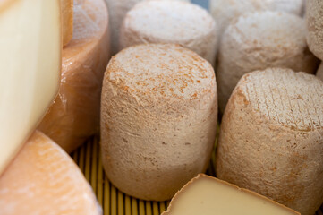 Weekly farmers market in Sarlat-la-Caneda, Dordogne, french cheeses from farm, small goat cheese tommette from Pyrenees