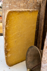 Cheese collection, hard French cheese old cantal fermier made from raw cow milk with rind close up