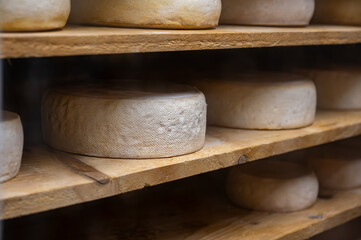 Farmer shop in Biarritz, France, Basque Country and Pyrenees sheep, cow and goat cheeses for sale, Tomme, Fermier Brebis, farmers cheese