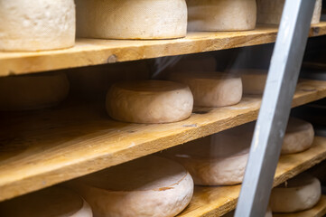 Farmer shop in Biarritz, France, Basque Country and Pyrenees sheep, cow and goat cheeses for sale, Tomme, Fermier Brebis, farmers cheese