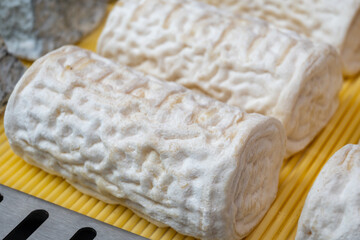 French organic matured white goat cheese buche de brebis with white mold close up
