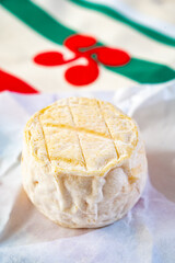 Cheese collection, soft sheeps milk brebis French cheese with mold produced on cheese farm in Basque Country in France