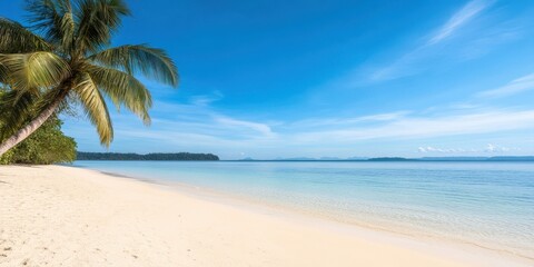 Obraz premium Serene beach with clear water, palm tree under bright blue sky.