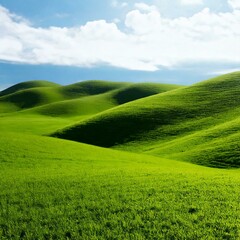 Obraz premium green field and blue sky