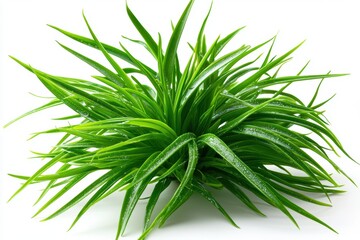 Fototapeta premium Stylized 3D Illustration of Green Shallots