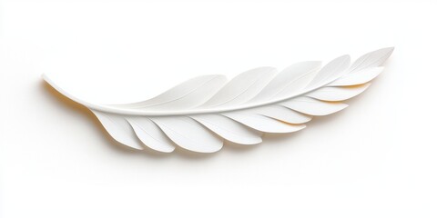 Obraz premium Elegant white leaf design on a clean isolated background.