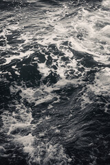 Obraz premium In The Deep