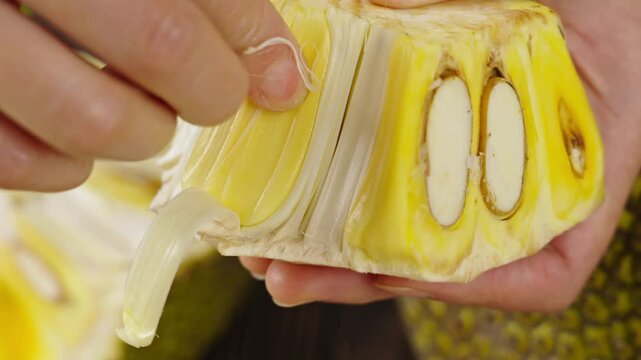 Ripe jackfruit peeled tropical fruit on table.