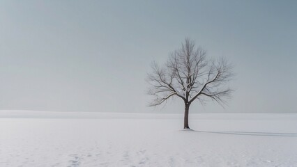 北の雪景色_1本の木_04