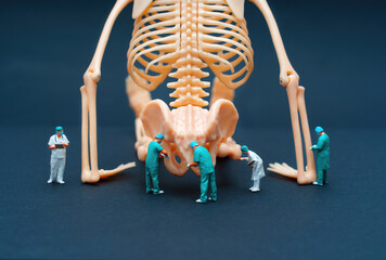 Miniature Doctors Examining Human Skeleton Model on Dark Background