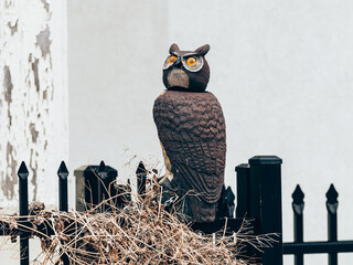 owl sculpture perches atop a black metal fence