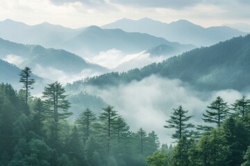 Foggy mountain range with pine trees creating an ethereal atmosphere. Soft light filtering through mist, evoking serenity and adventure