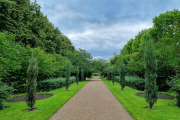 Tranquil Summer Walkway in Lush Green Park for Nature Retreats and Environmental Designs