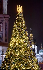 decorated christmas tree