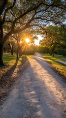 Fototapeta premium A serene park pathway at sunset, with warm sunlight filtering through the trees.