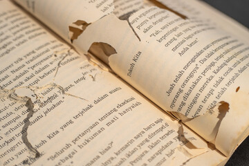damaged books by termites