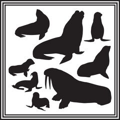 Set of Seal silhouette vector illustration.