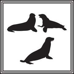Set of  3 seal silhouette, ocean animal