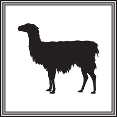 Big llama silhouette illustration, wildlife animal.