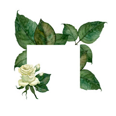 Fototapeta premium Watercolor frame with leaves and white rose