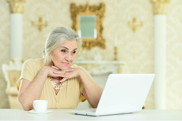 Beautiful elderly woman using a laptop at home