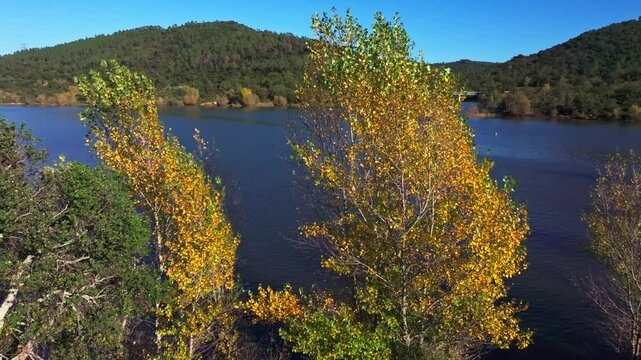 A tree in front of Lake of Saint-Cassien in Provence, France