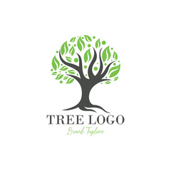 Tree logo template stock vector