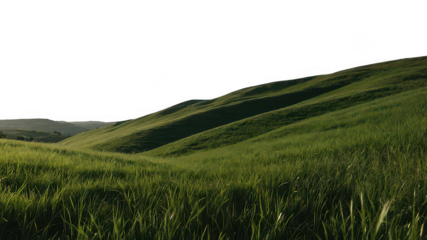 Green grassy hills, isolated, on transparent background, Png