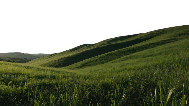 Green grassy hills, isolated, on transparent background, Png