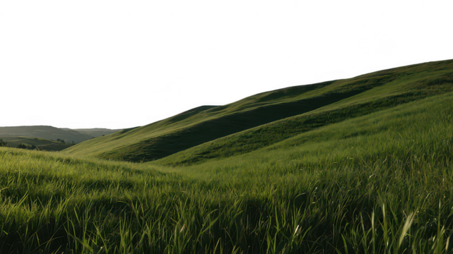 Green grassy hills, isolated, on transparent background, Png