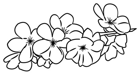 Cherry Blossom Doodle Element coloring page cartoon illustration