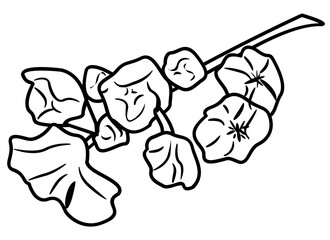 Cherry Blossom Doodle Element coloring page cartoon illustration