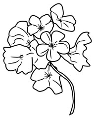 Cherry Blossom Doodle Element coloring page cartoon illustration