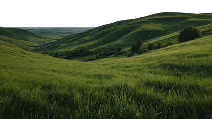 Obraz premium Green grassy hills, isolated, on transparent background, Png