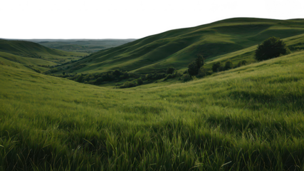 Green grassy hills, isolated, on transparent background, Png