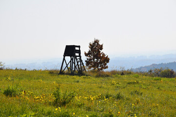 Naklejka premium Lookout tower with a lonely tree at the top of the hill