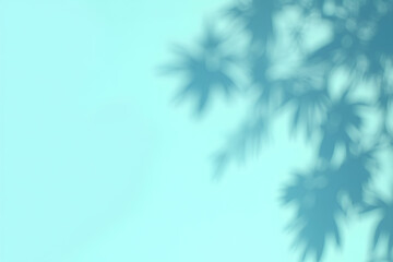 Obraz premium blank wall with shadows of branches and leaves on it