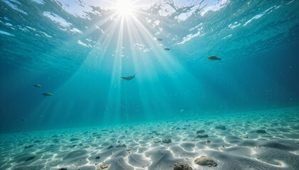 Fototapeta premium Crystal clear shallow sea with sunlight streaming through water