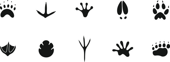 Paw print silhouette. Isolated paw print on white background