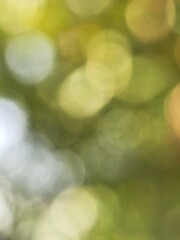 Obraz premium green bokeh background