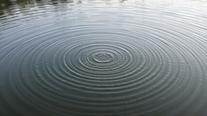 Fototapeta premium Ripple effect of a wave creating mesmerizing patterns on the still surface of a lake, gentle, idyllic