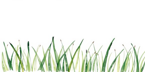 Green watercolor eco label with organic shapes of grass on white background, hand drawn with natural stains, hand drawn, bio, grass