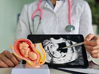 A doctor evaluates a fetal model by viewing prenatal ultrasound images on a tablet.