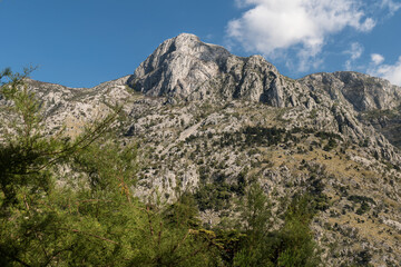 Rocky mountain with a general vegetation
