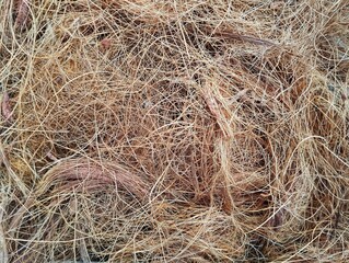 Close up of Coconut fiber texture, Nature abstrack background 