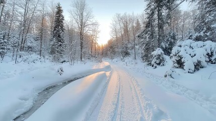Snowy Woodland Trail Lit by Soft Evening Light