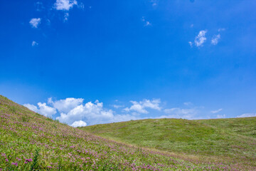 a field with wind turbines in the background and a mountain in the background.